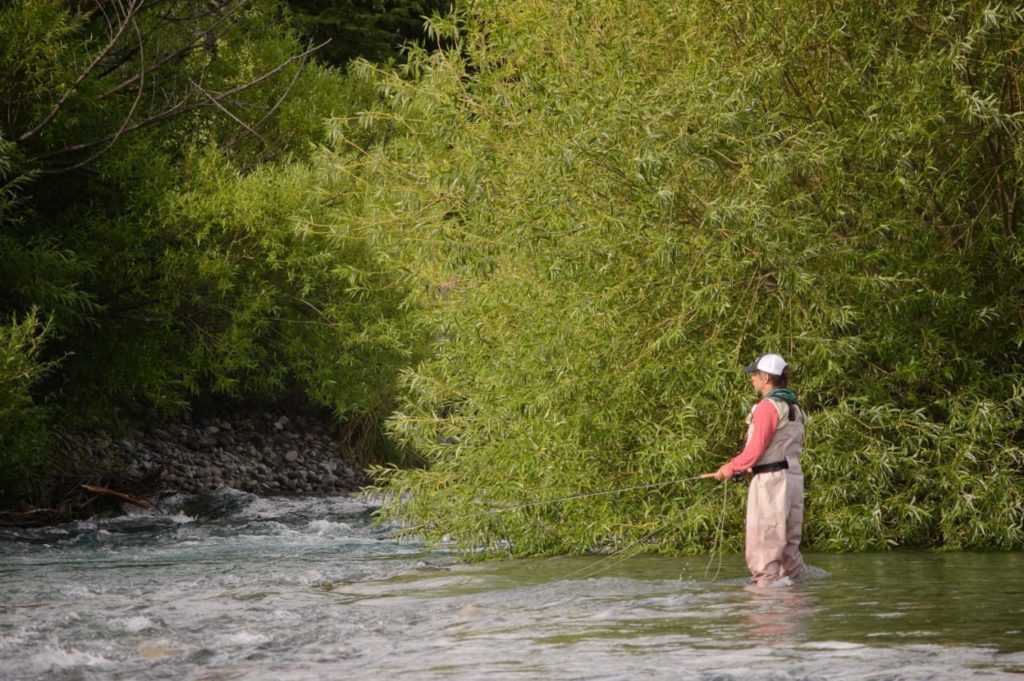 FRACCION DE 12 HECTAREAS CON COSTA DEL RIO MANSO1