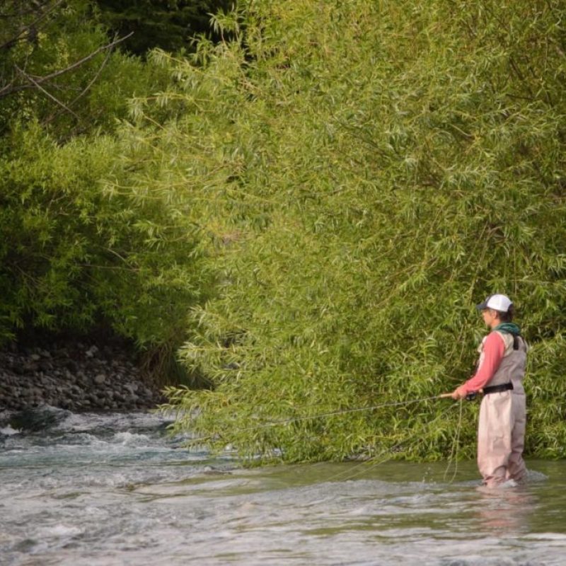 FRACCION DE 12 HECTAREAS CON COSTA DEL RIO MANSO1